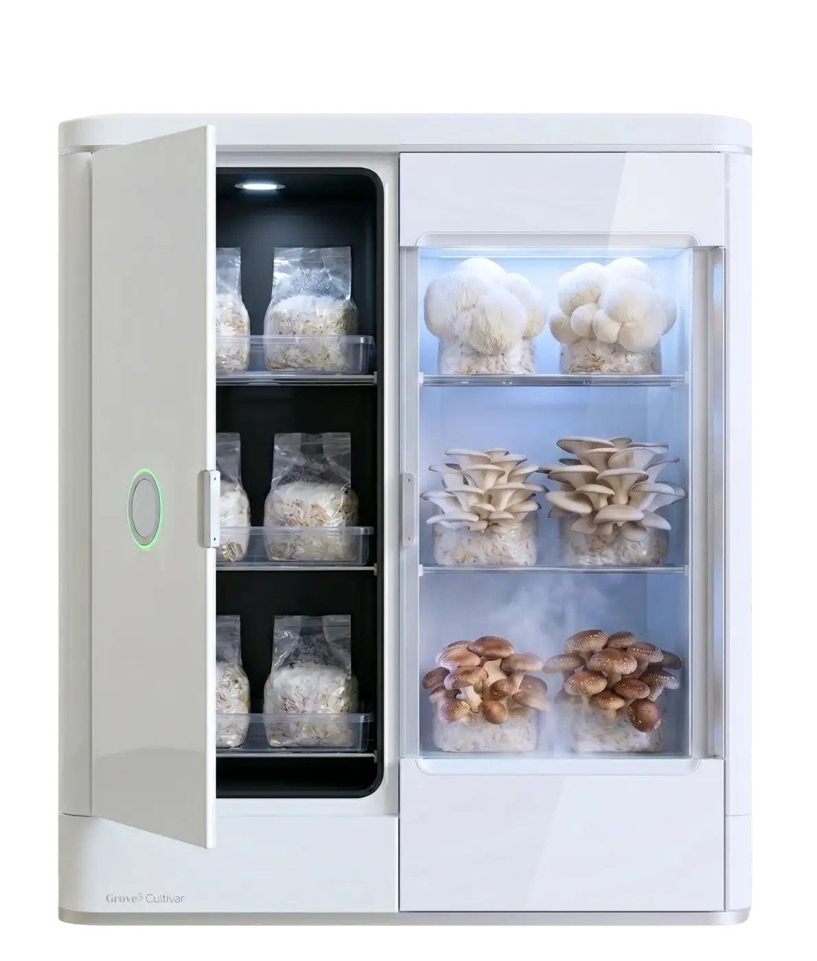 Cultivar — colonization chamber open