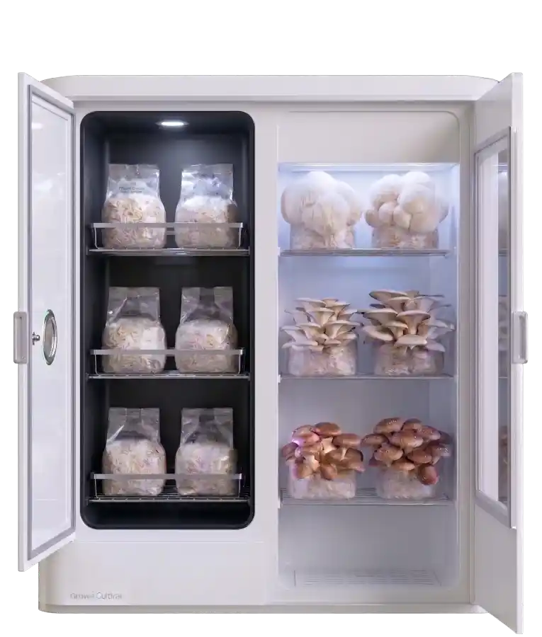 Cultivar — doors open