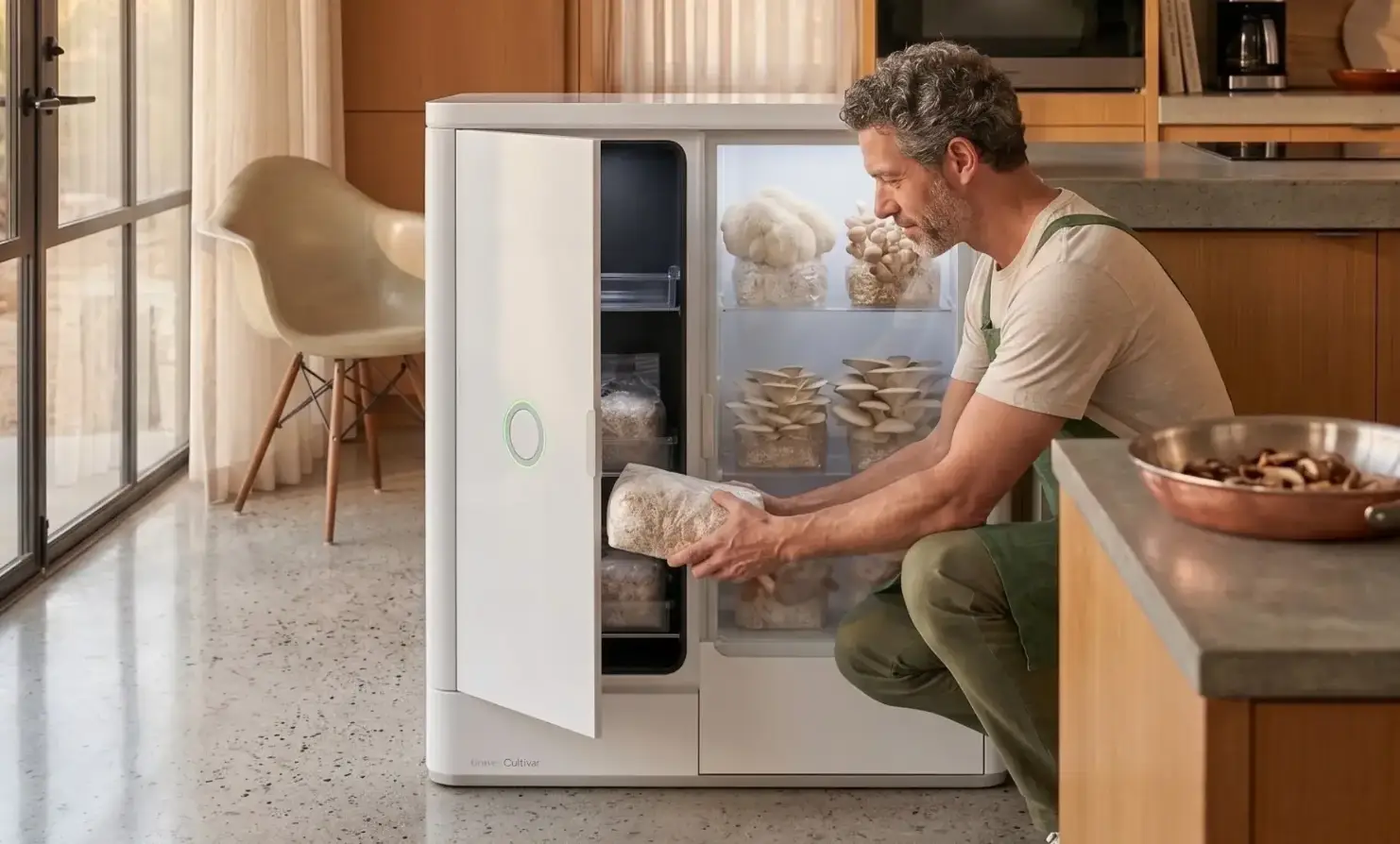 Fresh mushroom harvested from Cultivar